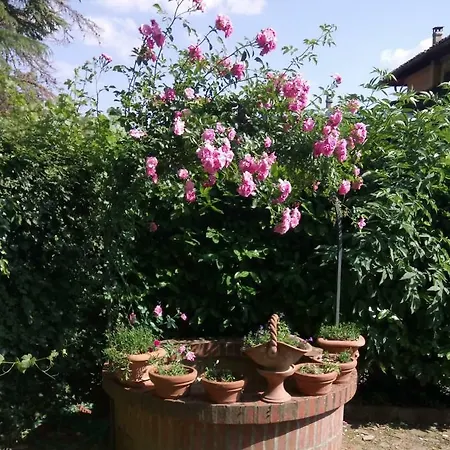 Casa Cecconi *