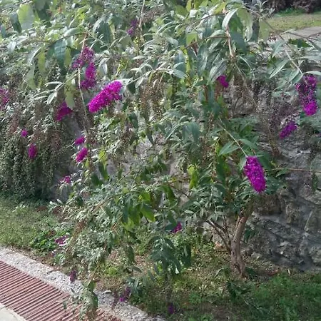 Casa Cecconi Bivigliano