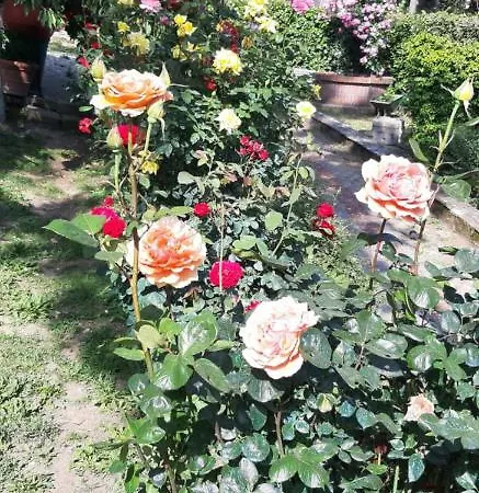 Holiday home Casa Cecconi